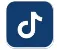 Icon Tijtok Rodape